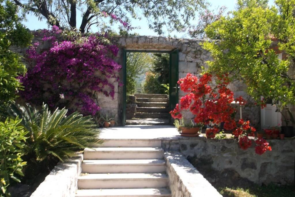 Charming Apartment For 3 Pax In Cavtat Luaran gambar