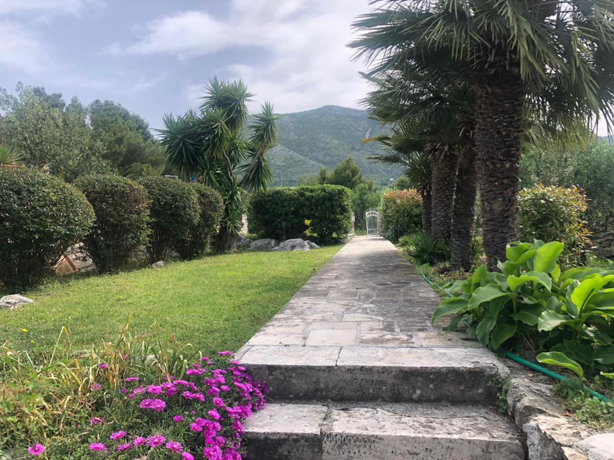 Charming Apartment For 3 Pax In Cavtat Luaran gambar